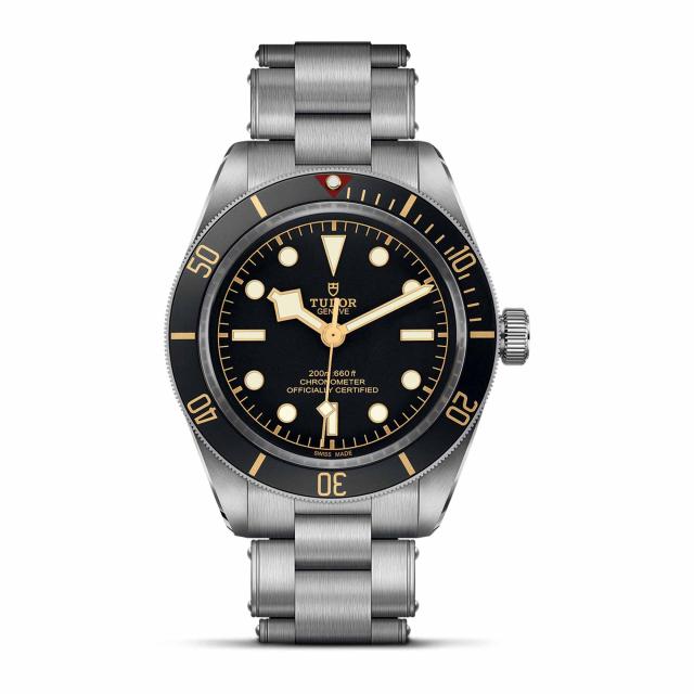 TUDOR BLACK BAY 58